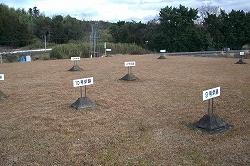 番号が書かれた盛り土が点々とある坂倉遺跡の写真