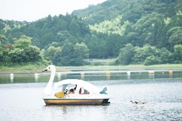 緑に囲まれた五桂池でペダルボートを楽しんでいる写真