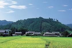 手前に田園や住宅地があり奥に緑に覆われた五箇篠山城跡がある風景写真