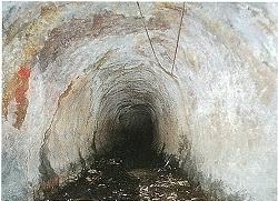 所どころひび割れたような白い壁で、奥に狭いトンネルの穴が続いている塔ノ本トンネルの写真