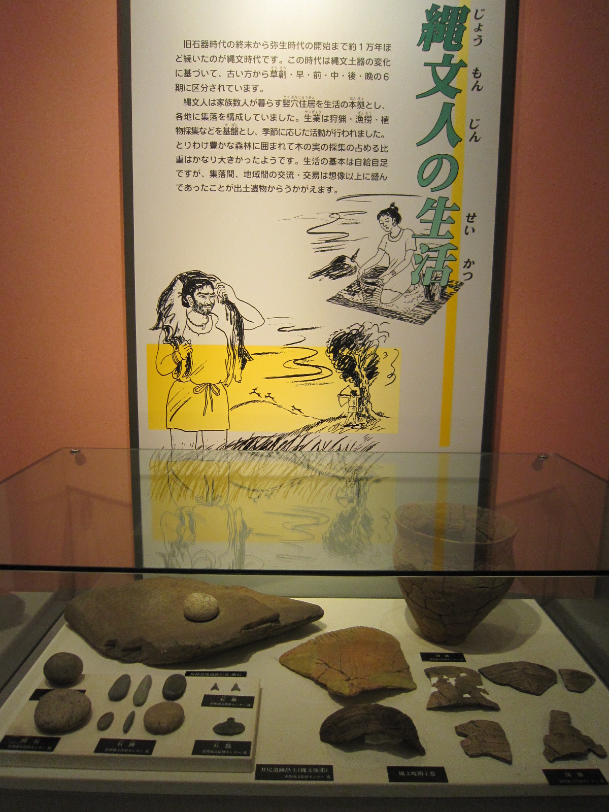 縄文遺跡出土品の展示