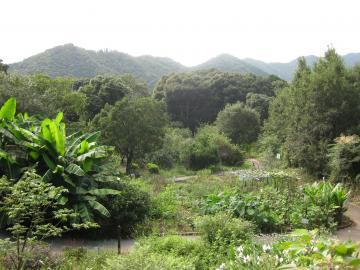 緑に囲ま綿中山薬草薬樹公園の写真