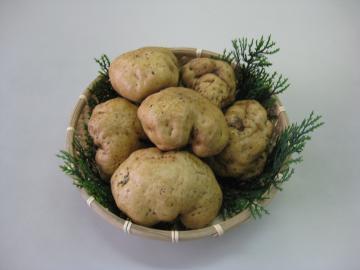 かごに入っている6個の伊勢芋の写真