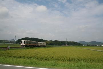 広大な田んぼの中を2両の列車が走っている写真