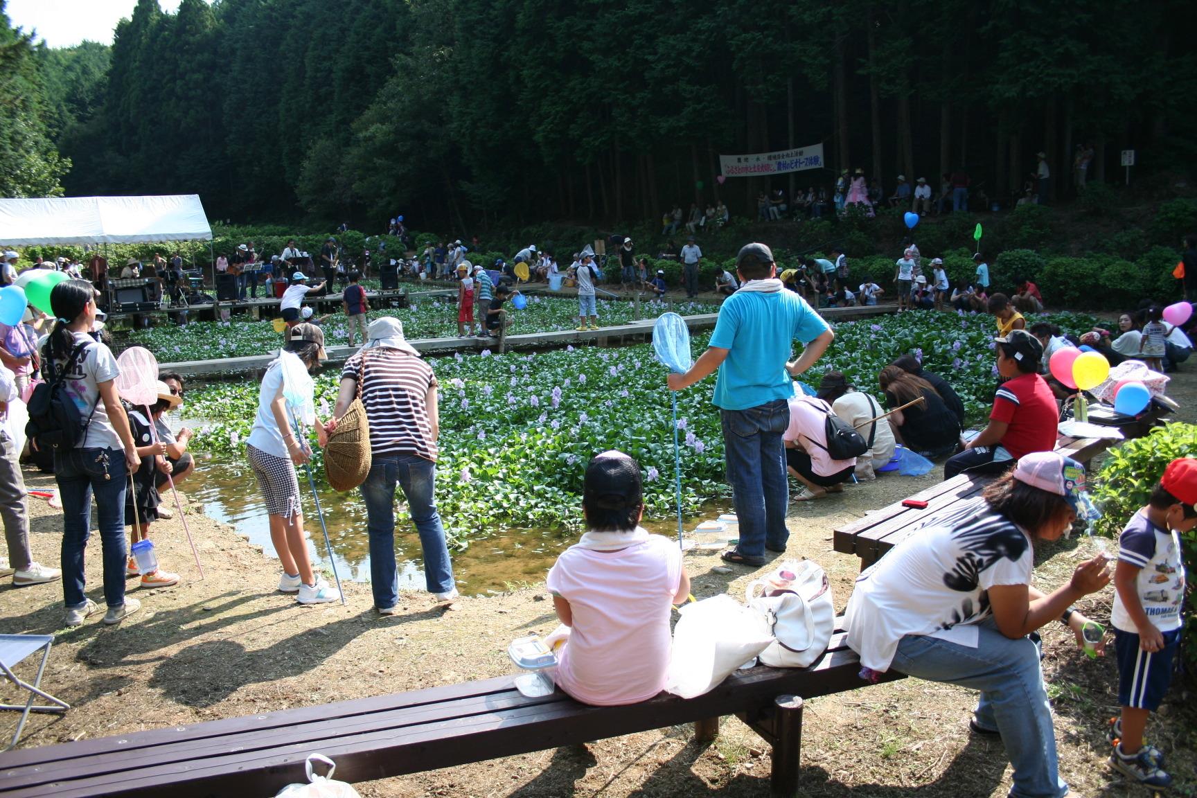 田んぼに多くの人が集まってメダカの観察をしている写真