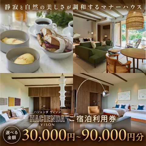 ハシェンダVISON 利用券