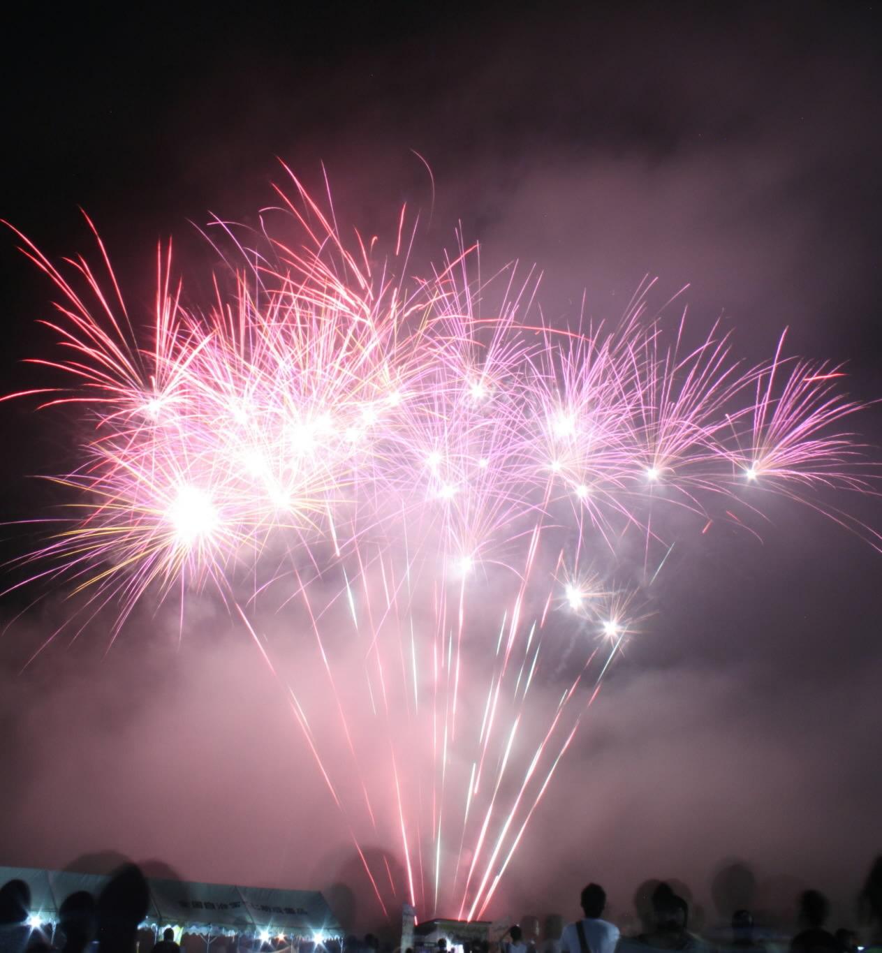 ピンクの鮮やかな花火が大空に打ち上げられている写真