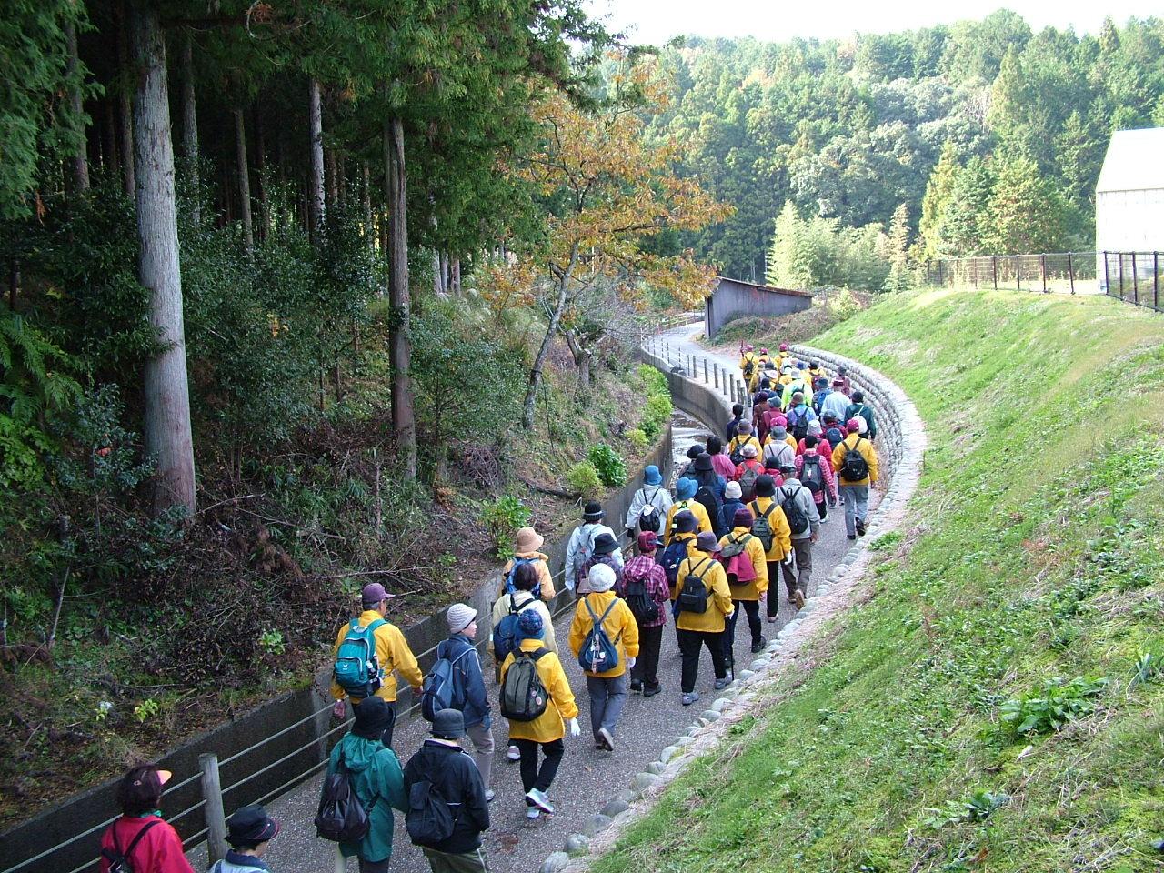 森の中に作られている遊歩道を多くの参加者達がウォーキングしている写真