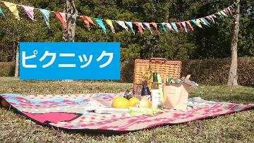 レジャーシートの上に果物や飲み物などが置かれているピクニックの写真