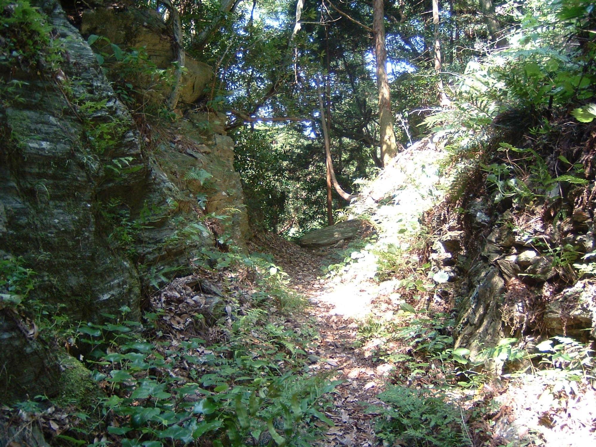 両脇が切り立っている森の中で、のぼり坂の山道となっている女鬼峠の写真