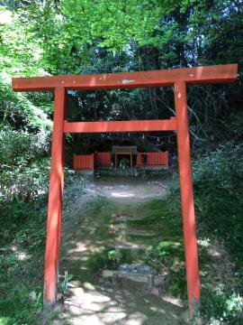 木々に囲まれており、赤い鳥居の奥に祭られている丹生都姫神社の写真