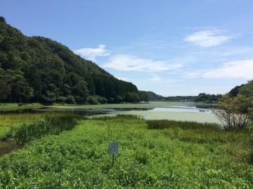 青空の下、遠くには山並みが広がり、手前には栃ヶ池と青々とした植物が写っている写真