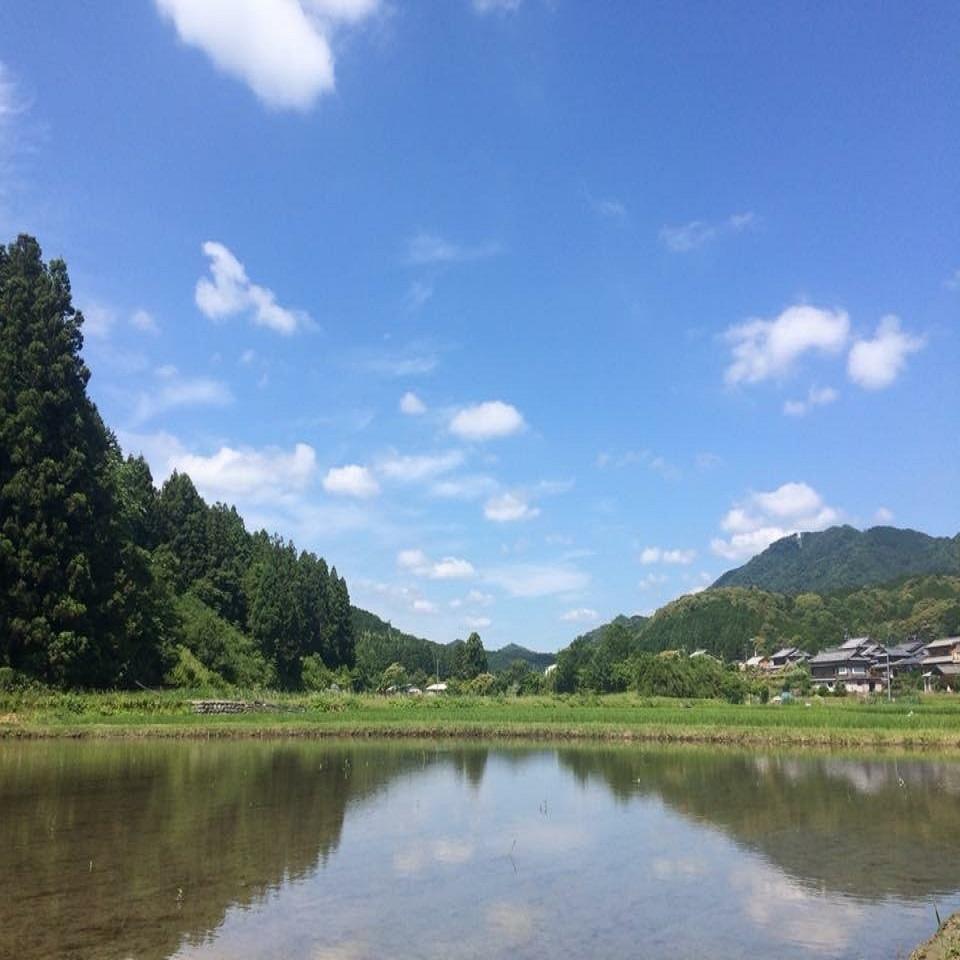 田んぼの奥に自然あふれる山々と澄んだ大空が広がる風景写真