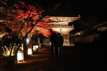 夜に紅葉で赤や黄色に色づいた木々とその奥に見える建造物が丹生灯篭でライトアップされている写真